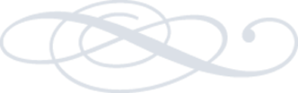 VillaDeVriendschap Icon